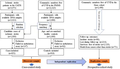 Association between CORIN promoter methylation and stroke: Results from two independent samples of Chinese adults